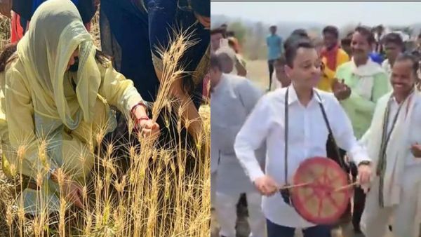 कमलनाथ के बेटे छिंदवाड़ा जीतने के लिए अपना रहे अनोखे हथकंडे, नकुलनाथ ढोल बजा रहे, पत्नी गेहूं काट रही