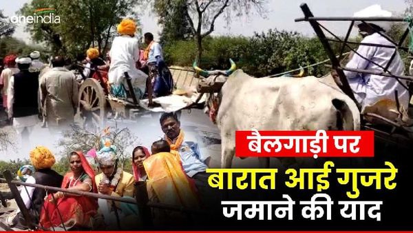 Jhabua News: अपनी दुल्हन को लेने बैलगाड़ी पर सवार होकर पहुंचा दूल्हा, हैरान रह गए झाबुआ के लोग