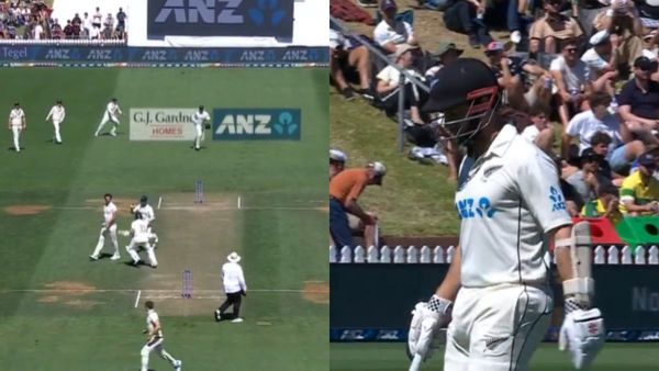 AUS vs NZ: विलियमसन की अपने ही साथी से मैदान पर हुई जोरदार टक्कर, देखें सनसनीखेज वीडियो