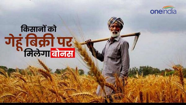 MP News: लोकसभा चुनाव से पहले मोहन सरकार का मास्टरस्ट्रोक, गेहूं पर मिलेगा 125 रुपये बोनस