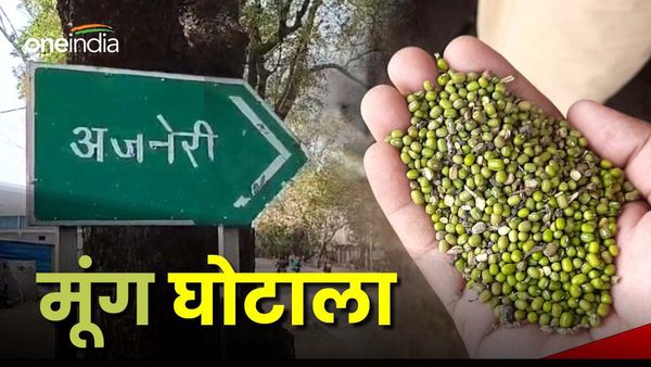 Narmadapuram: बोरी का वजन बढ़ाने के लिए मूंग में मिला दी 14 करोड़ रुपये की मिट्टी, ऐसे हुआ घोटाले का खुलासा