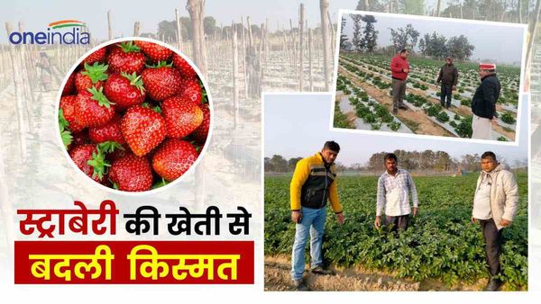 कभी लोगों ने मारा था ताना,'कि हल चलाना ही है किस्मत', व्यक्ति ने उसे ही बनाई ताक़त और बन गया करोंड़ों का मालिक