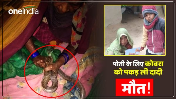 Jaunpur News: पोती के लिए जोखिम में डाली जान, कोबरा को हाथ से कसकर पकड़ा, छूटते हीं डंसा, हो गई मौत