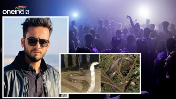 कोबरा से कैसे नशा करते हैं लोग? Elvish Yadav की रेव पार्टी के बाद खुला राज, युवाओं में बढ़ती जा रही ये बुरी लत