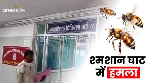 Rewa News: चिता पर अंतिम संस्कार कर रहे थे लोग, तभी मधुमक्खियों के झुंड ने कर दिया हमला और फिर...