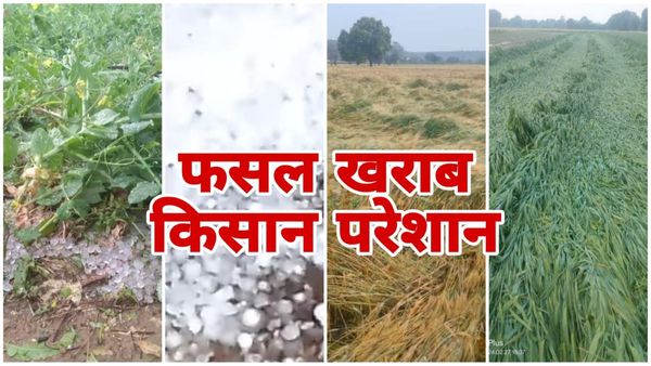 MP News: आंधी- बारिश के साथ जमकर गिरे ओले, फसल खराब होने से परेशान किसानों ने किया चक्का जाम