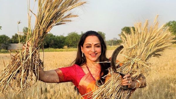 Lok Sabha Election 2024: चिलचिलाती धूप में कांजीवरम साड़ी पहनकर हेमा मालिनी ने खेत में काटी फसल, देखें PICS