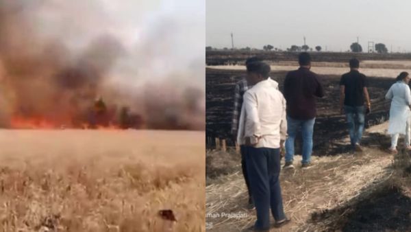 श्योपुर में आग का कहर, 300 बीघा से ज्यादा गेहूं की फसल जलकर हुई खाक, रो पड़े अन्नदाता