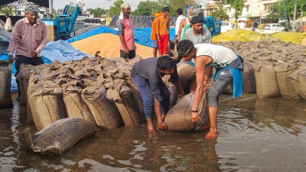 Punjab-Haryana Weather: पंजाब और हरियाणा में ओलावृष्टि, किसानों की फसल बर्बाद, जानें कल के मौसम का हाल?