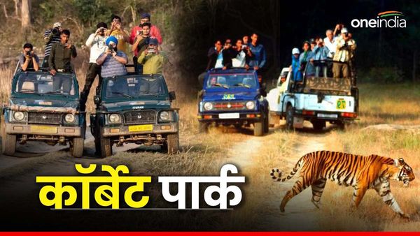Jim corbett national park जंगल की सफारी और एडवेंचर हो जाएं तैयार,कब के मिल सकते हैं टिकट,ऐसे करें बुकिंग