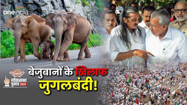 Lok Sabha Election: केरल में LDF,UDF को जंगली जानवरों से क्यों हुई दुश्मनी? हत्या के लिए बदलना चाहते हैं कानून