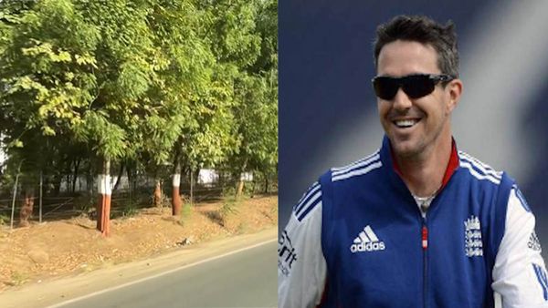 पूर्व क्रिकेटर केविन पीटरसन ने पूछा इंडिया में पेड़ पर कलर क्यों किया जाता है? क्या आपको पता है?