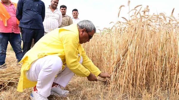 Mau News: बेटे के लोकसभा क्षेत्र में इस खास अंदाज में दिखे सुभासपा प्रमुख ओपी राजभर, हो रही चर्चा