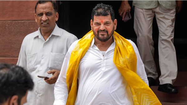 'मैं भाजपा से बड़ा नहीं, मीडिया की वजह से...', ब्रृजभूषण शरण सिंह ने टिकट को लेकर दिया बड़ा बयान