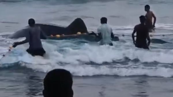 जाल में फंस गई इतनी बड़ी शार्क, उसे देख मछुआरों के उड़े गये होश