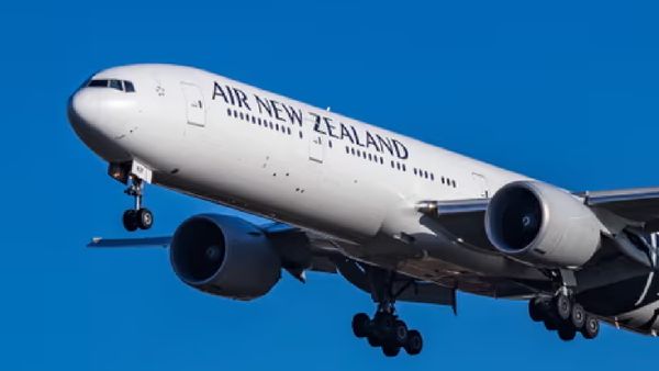 OMG! फ्लाइट में 53 साल के यात्री ने कप में की पेशाब, फिर अटेंडेंट पर गिराया