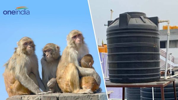 लोगों को सप्लाई किया जा रहा था दूषित पीने का पानी, शिकायत पर जांच टंकी में मिला 40 बंदरों का शव