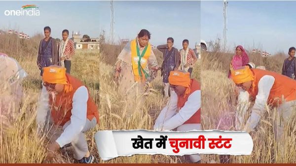 चुनाव प्रचार के लिए महिला मंत्री के साथ खेत में गेहूं काटने पहुंचे BJP प्रत्याशी, सोशल मीडिया पर वीडियो वायरल