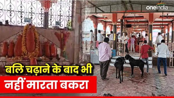 MP News: एक ऐसा मंदिर जहां मनोकामना पूरी होने पर चढ़ाए जाते हैं बकरे, बलि के बाद भी रहते हैं जिंदा