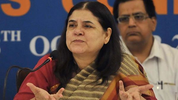 'वरुण तो काफी समझदार लेकिन राहुल गांधी तो...', मेनका गांधी ने बेटे के साथ तुलना पर कही चौंकाने वाली बात