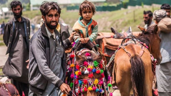 Jammu: इनमें भी जान है... जानवर नहीं ढोएंगे सामान, जानिए इस राज्य में क्यों जारी हुआ ये फरमान