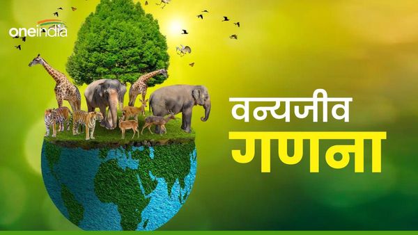 राजस्थान में इस बार क्यों हो रही वन्यजीव गणना, पिछले साल आखिर क्या हुआ जो नहीं हो गया यह काम ?