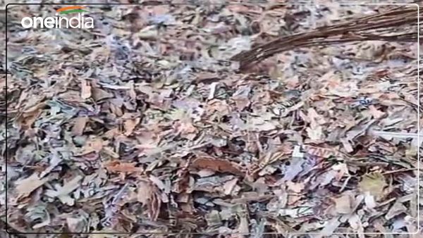 'चारे की तरह कटे...', ग्रामीणों के छूटे पसीने, आखिर कहां से आए 100, 200 और 500 रुपए के नोट?