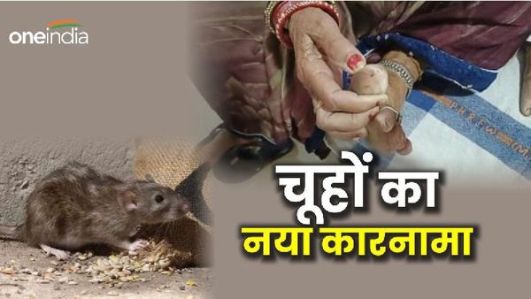 MP News: सरकारी अस्पताल में इलाज करने आई महिला के पैर कुतर गए चूहे, हाल देख डॉक्टर भी सकपका गए