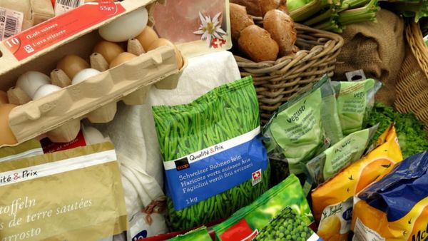 क्या आपको पता है एक्सपायरी डेट और शेल्फ लाइफ के बीच का फर्क? एक्सपर्ट ने बताई अहम बात