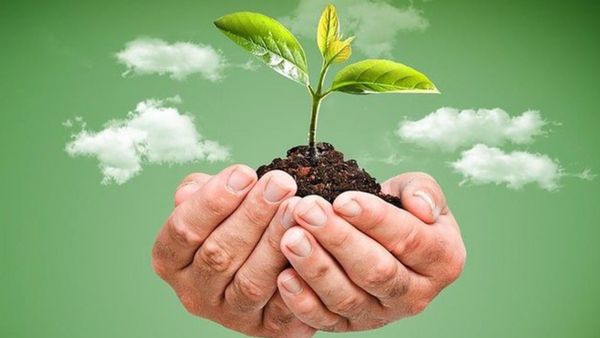 पंजाब सीएम भगवंत मान ने विश्व पर्यावरण दिवस पर अपने परिवेश को स्वच्छ एवं प्रदूषण मुक्त रखने की अपील