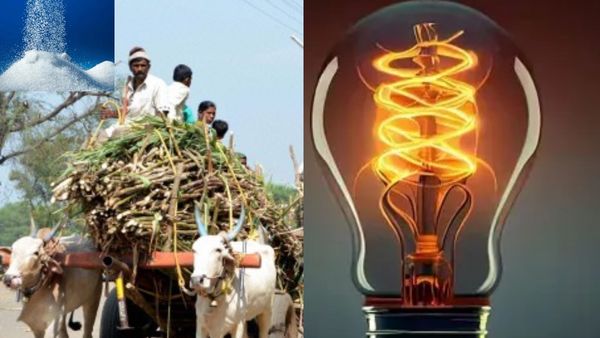अब महाराष्‍ट्र की चीनी मिलें चीनी ही बिजली का भी करेंगी उत्‍पादन, जानें सरकार की योजना