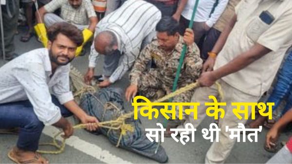 किसान के साथ सो रहा था 'मगरमच्छ', ठंड लगने पर नींद खुली तो फटी रह गईं आंखें