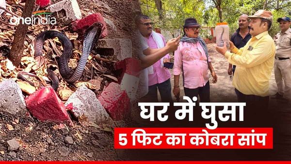 Cobra Snake:डिस्ट्रिक्ट कमांडेंट के बंगले में छिपा था 5 फीट लंबा किंग कोबरा, बाहर निकला तो लोगों के उड़ गए होश