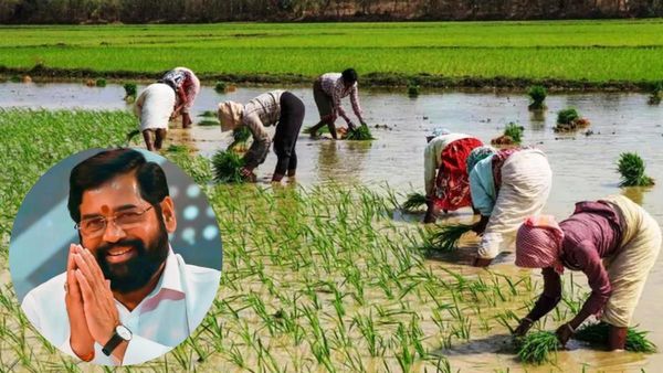 महाराष्ट्र के किसानों के लिए अच्छी खबर, अब मात्र 1 रुपए में ले सकते हैं फसल बीमा योजना का लाभ