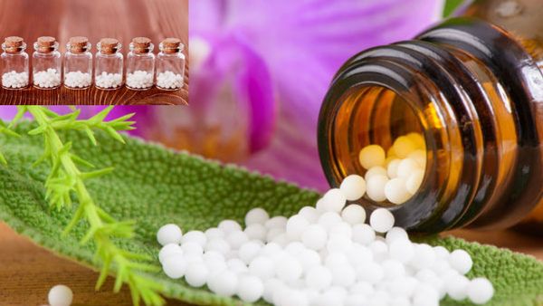 यूपी में होम्योपैथिक फार्मासिस्ट के 397 पदों पर हो शुरू हो रही भर्ती, जानें आवेदन की आखिरी तारीख