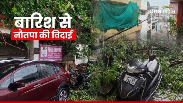 Satna News: नौतपा के आखिरी दिन बदला मौसम का मिजाज, तेज आंधी से कहीं पेड़ तो कहीं बिजली के खंभे गिरे