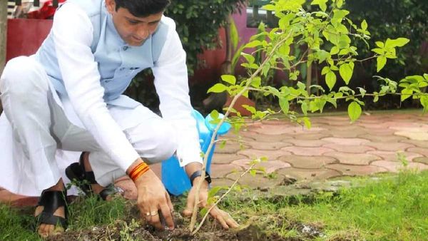 Indore News: पेड़ काटने वाले हो जाएं सावधान, बिना परमिशन हटाने पर मिलेगी सख्त सजा