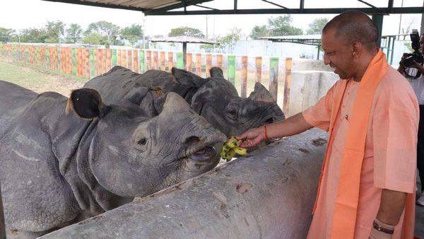 तेरह दिन में दूसरी बार गोरखपुर चिड़ियाघर पहुंचे CM Yogi, पौध रोपण कर दिया पर्यावरण संरक्षण का संदेश