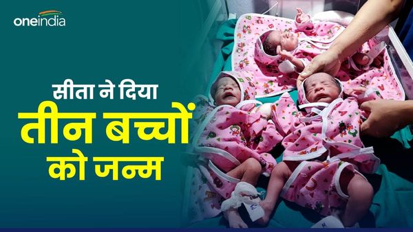 Rajasthan News: सीता ने 3 बच्चों को दिया जन्म, एक बेटी और दो बेटा, जानिए इस अनोखी खबर को