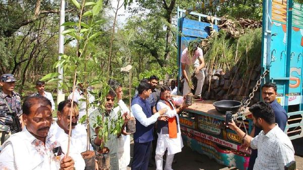 Indore News: इंदौर में लहलहाएंगे चेन्नई के पौधे, 300 ट्रक लेकर आएंगे हरियाली
