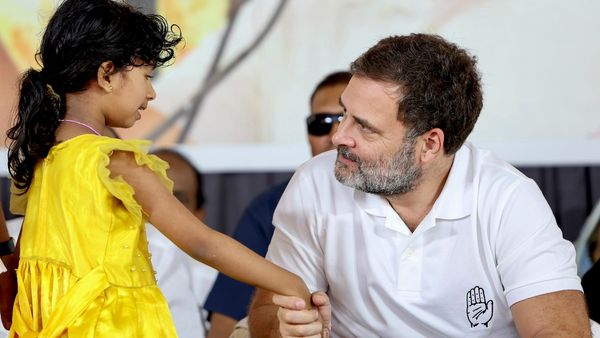 रायबरेली या वायनाड, किस सीट से रहेंगे राहुल गांधी सांसद? फैसला हो चुका है! 17 को हो सकता है ऐलान