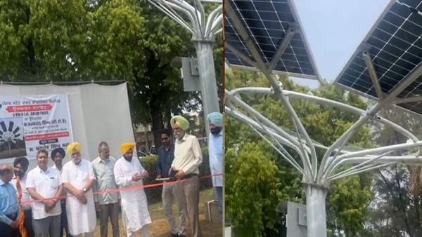 पंजाब ने पटियाला में अभिनव सौर वृक्षों के साथ अक्षय ऊर्जा को बढ़ाया