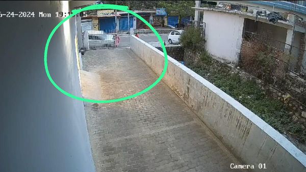 अधिकारी की तेज रफ्तार कार ने इवनिंग वाॅक कर रही महिला और उसकी दो भतीजियों को कुचला,दर्दनाक मौत का वीडियो वायरल