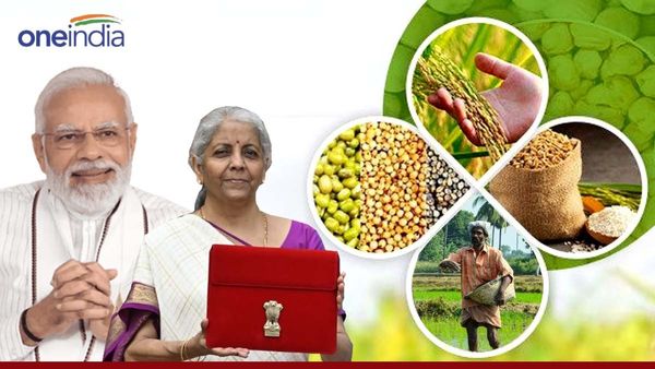 Budget 2024: ना MSP... ना बढ़ी सम्मान निधि, लगातार छठे साल कृषि बजट को मोदी सरकार ने घटाया
