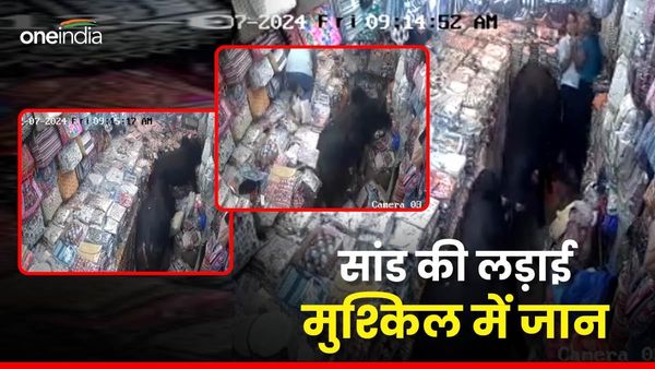 Rishikesh news लड़ते-लड़ते आवारा सांड घुस गए दुकान में,अंदर काम कर रही थी दो लड़कियां और फिर...Viral video