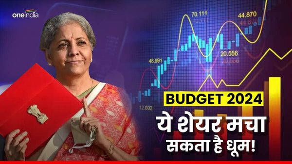 Budget 2024 Share: मजबूत फंडामेंटल वाला यह शेयर मचा सकता है धूम, दो साल में 5 गुना बढ़े दाम