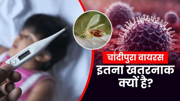 Chandipura virus: क्या है चांदीपुरा वायरस, क्या है इसके लक्षण, कैसे फैलता है, इलाज क्या है? जानिए सबकुछ