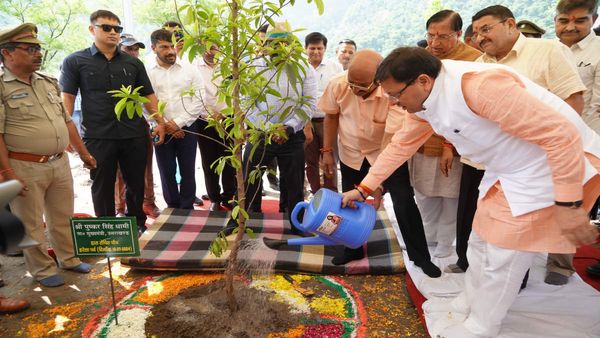 01 करोड़ 64 लाख पौधे लगाने का लक्ष्य, 15 अगस्त तक चलेगा अभियान, उत्तराखंड में ऐसे मना हरेला पर्व