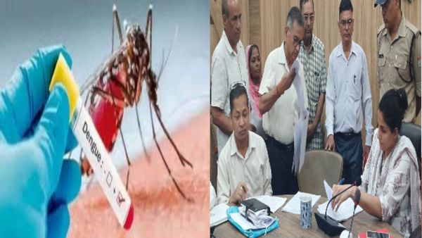 Dehradun news: डेंगू से निपटने को तैयार की गई खास प्लानिंग, डीएम ने बताया क्या है तैयारी, टोल फ्री नंबर जारी
