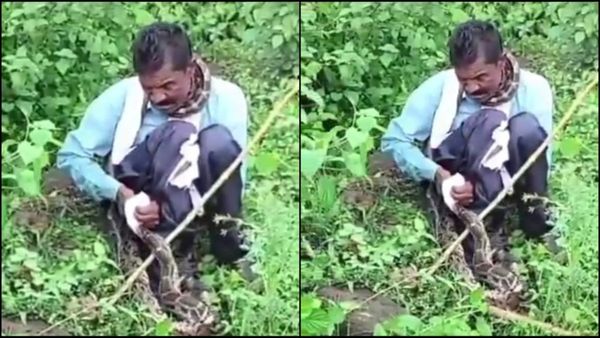 Viral video: शौच करने गए शख्स को 13 फीट के अजगर ने जकड़ा...17 मिनट चली जंग, फिर हुआ कुछ ऐसा